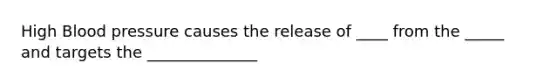 High Blood pressure causes the release of ____ from the _____ and targets the ______________