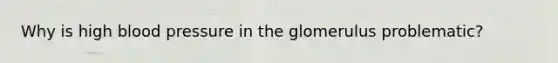 Why is high blood pressure in the glomerulus problematic?