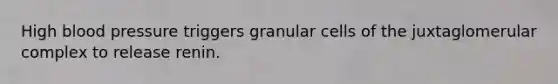 High blood pressure triggers granular cells of the juxtaglomerular complex to release renin.