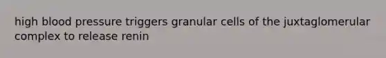 high blood pressure triggers granular cells of the juxtaglomerular complex to release renin