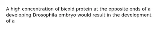 A high concentration of bicoid protein at the opposite ends of a developing Drosophila embryo would result in the development of a