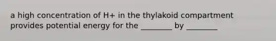 a high concentration of H+ in the thylakoid compartment provides potential energy for the ________ by ________