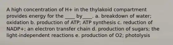 A high concentration of H+ in the thylakoid compartment provides energy for the ____ by____. a. breakdown of water; oxidation b. production of ATP; ATP synthesis c. reduction of NADP+; an electron transfer chain d. production of sugars; the light-independent reactions e. production of O2; photolysis