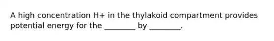 A high concentration H+ in the thylakoid compartment provides potential energy for the ________ by ________.