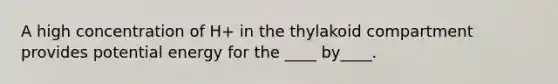 A high concentration of H+ in the thylakoid compartment provides potential energy for the ____ by____.