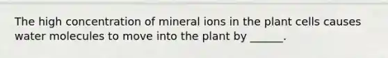 The high concentration of mineral ions in the plant cells causes water molecules to move into the plant by ______.