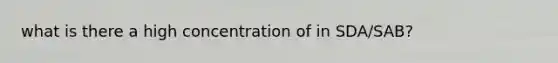 what is there a high concentration of in SDA/SAB?