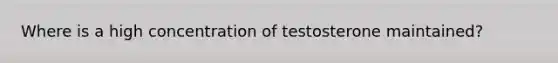 Where is a high concentration of testosterone maintained?