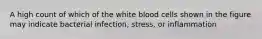 A high count of which of the white blood cells shown in the figure may indicate bacterial infection, stress, or inflammation