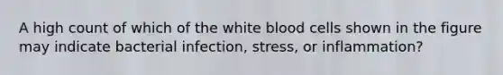 A high count of which of the white blood cells shown in the figure may indicate bacterial infection, stress, or inflammation?