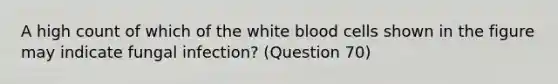 A high count of which of the white blood cells shown in the figure may indicate fungal infection? (Question 70)