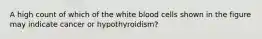 A high count of which of the white blood cells shown in the figure may indicate cancer or hypothyroidism?