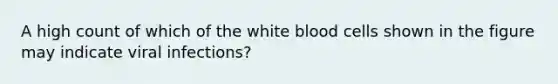 A high count of which of the white blood cells shown in the figure may indicate viral infections?