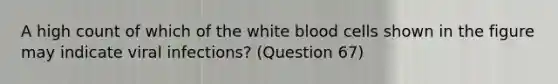 A high count of which of the white blood cells shown in the figure may indicate viral infections? (Question 67)