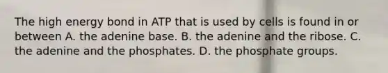 The high energy bond in ATP that is used by cells is found in or between A. the adenine base. B. the adenine and the ribose. C. the adenine and the phosphates. D. the phosphate groups.