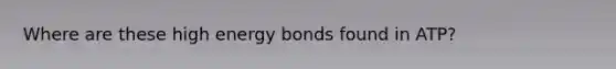 Where are these high energy bonds found in ATP?