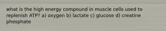 what is the high energy compound in muscle cells used to replenish ATP? a) oxygen b) lactate c) glucose d) creatine phosphate