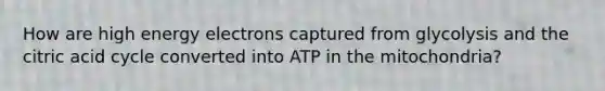 How are high energy electrons captured from glycolysis and the citric acid cycle converted into ATP in the mitochondria?