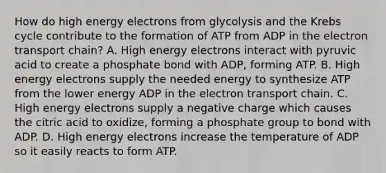 How do high energy electrons from glycolysis and the Krebs cycle contribute to the formation of ATP from ADP in the electron transport chain? A. High energy electrons interact with pyruvic acid to create a phosphate bond with ADP, forming ATP. B. High energy electrons supply the needed energy to synthesize ATP from the lower energy ADP in the electron transport chain. C. High energy electrons supply a negative charge which causes the citric acid to oxidize, forming a phosphate group to bond with ADP. D. High energy electrons increase the temperature of ADP so it easily reacts to form ATP.