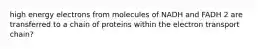 high energy electrons from molecules of NADH and FADH 2 are transferred to a chain of proteins within the electron transport chain?