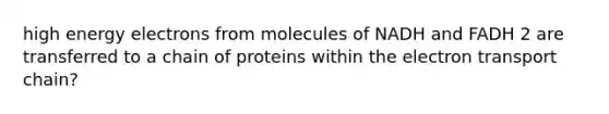 high energy electrons from molecules of NADH and FADH 2 are transferred to a chain of proteins within the electron transport chain?