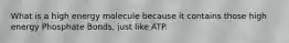 What is a high energy molecule because it contains those high energy Phosphate Bonds, just like ATP.