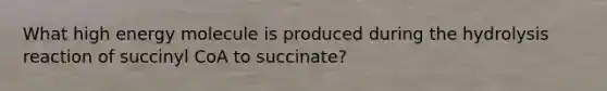 What high energy molecule is produced during the hydrolysis reaction of succinyl CoA to succinate?