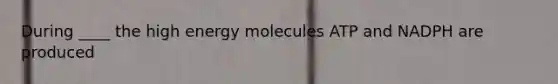 During ____ the high energy molecules ATP and NADPH are produced