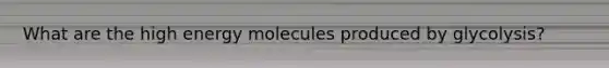 What are the high energy molecules produced by glycolysis?