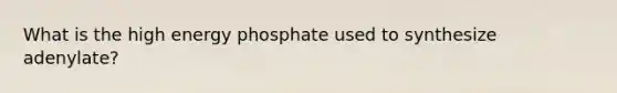 What is the high energy phosphate used to synthesize adenylate?