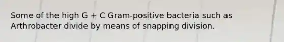 Some of the high G + C Gram-positive bacteria such as Arthrobacter divide by means of snapping division.