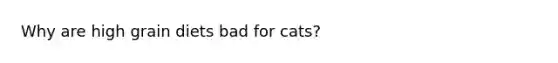 Why are high grain diets bad for cats?