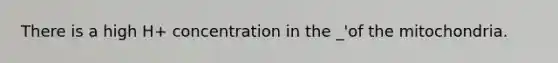 There is a high H+ concentration in the _'of the mitochondria.