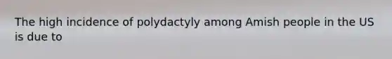 The high incidence of polydactyly among Amish people in the US is due to