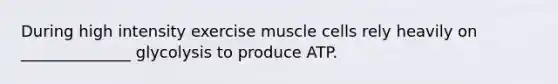 During high intensity exercise muscle cells rely heavily on ______________ glycolysis to produce ATP.