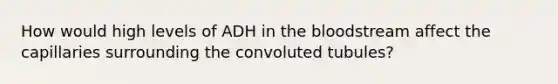 How would high levels of ADH in the bloodstream affect the capillaries surrounding the convoluted tubules?