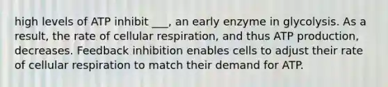 high levels of ATP inhibit ___, an early enzyme in glycolysis. As a result, the rate of cellular respiration, and thus ATP production, decreases. Feedback inhibition enables cells to adjust their rate of cellular respiration to match their demand for ATP.