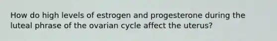 How do high levels of estrogen and progesterone during the luteal phrase of the ovarian cycle affect the uterus?