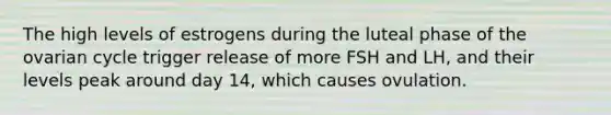 The high levels of estrogens during the luteal phase of the ovarian cycle trigger release of more FSH and LH, and their levels peak around day 14, which causes ovulation.