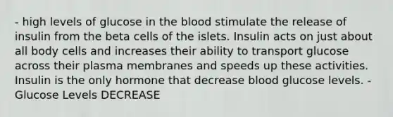 - high levels of glucose in the blood stimulate the release of insulin from the beta cells of the islets. Insulin acts on just about all body cells and increases their ability to transport glucose across their plasma membranes and speeds up these activities. Insulin is the only hormone that decrease blood glucose levels. - Glucose Levels DECREASE