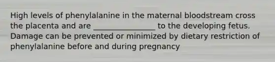 High levels of phenylalanine in the maternal bloodstream cross the placenta and are ________________ to the developing fetus. Damage can be prevented or minimized by dietary restriction of phenylalanine before and during pregnancy