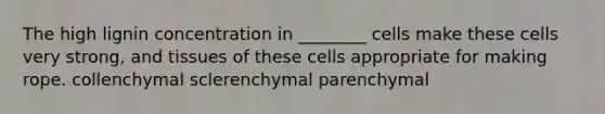 The high lignin concentration in ________ cells make these cells very strong, and tissues of these cells appropriate for making rope. collenchymal sclerenchymal parenchymal