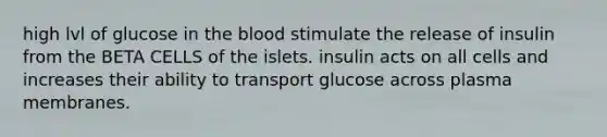 high lvl of glucose in the blood stimulate the release of insulin from the BETA CELLS of the islets. insulin acts on all cells and increases their ability to transport glucose across plasma membranes.