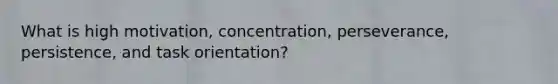 What is high motivation, concentration, perseverance, persistence, and task orientation?