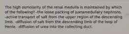 The high osmolarity of the renal medulla is maintained by which of the following? -the loose packing of juxtamedullary nephrons. -active transport of salt from the upper region of the descending limb. -diffusion of salt from the descending limb of the loop of Henle. -diffusion of urea into the collecting duct.