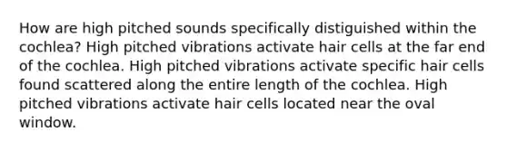 How are high pitched sounds specifically distiguished within the cochlea? High pitched vibrations activate hair cells at the far end of the cochlea. High pitched vibrations activate specific hair cells found scattered along the entire length of the cochlea. High pitched vibrations activate hair cells located near the oval window.