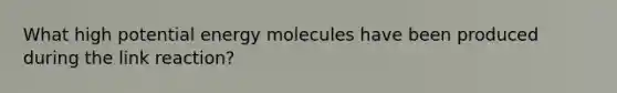 What high potential energy molecules have been produced during the link reaction?