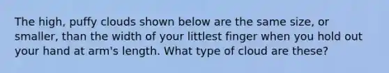 The high, puffy clouds shown below are the same size, or smaller, than the width of your littlest finger when you hold out your hand at arm's length. What type of cloud are these?