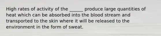 High rates of activity of the ______ produce large quantities of heat which can be absorbed into the blood stream and transported to the skin where it will be released to the environment in the form of sweat.