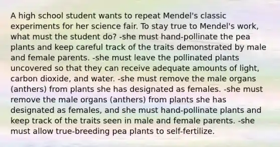 A high school student wants to repeat Mendel's classic experiments for her science fair. To stay true to Mendel's work, what must the student do? -she must hand-pollinate the pea plants and keep careful track of the traits demonstrated by male and female parents. -she must leave the pollinated plants uncovered so that they can receive adequate amounts of light, carbon dioxide, and water. -she must remove the male organs (anthers) from plants she has designated as females. -she must remove the male organs (anthers) from plants she has designated as females, and she must hand-pollinate plants and keep track of the traits seen in male and female parents. -she must allow true-breeding pea plants to self-fertilize.